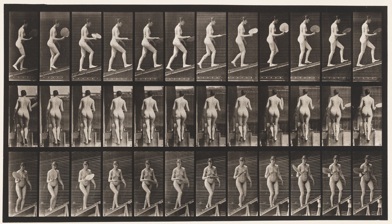 Plate 78. Ascending Incline, Flirting A Fan, 1872-1885 av Eadweard Muybridge