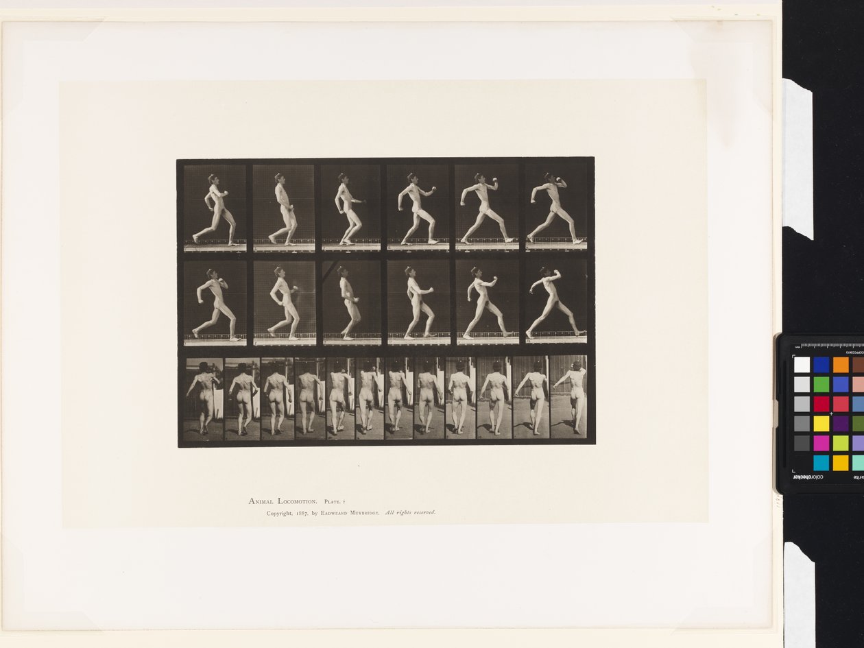Plate 7.Gå av Eadweard Muybridge
