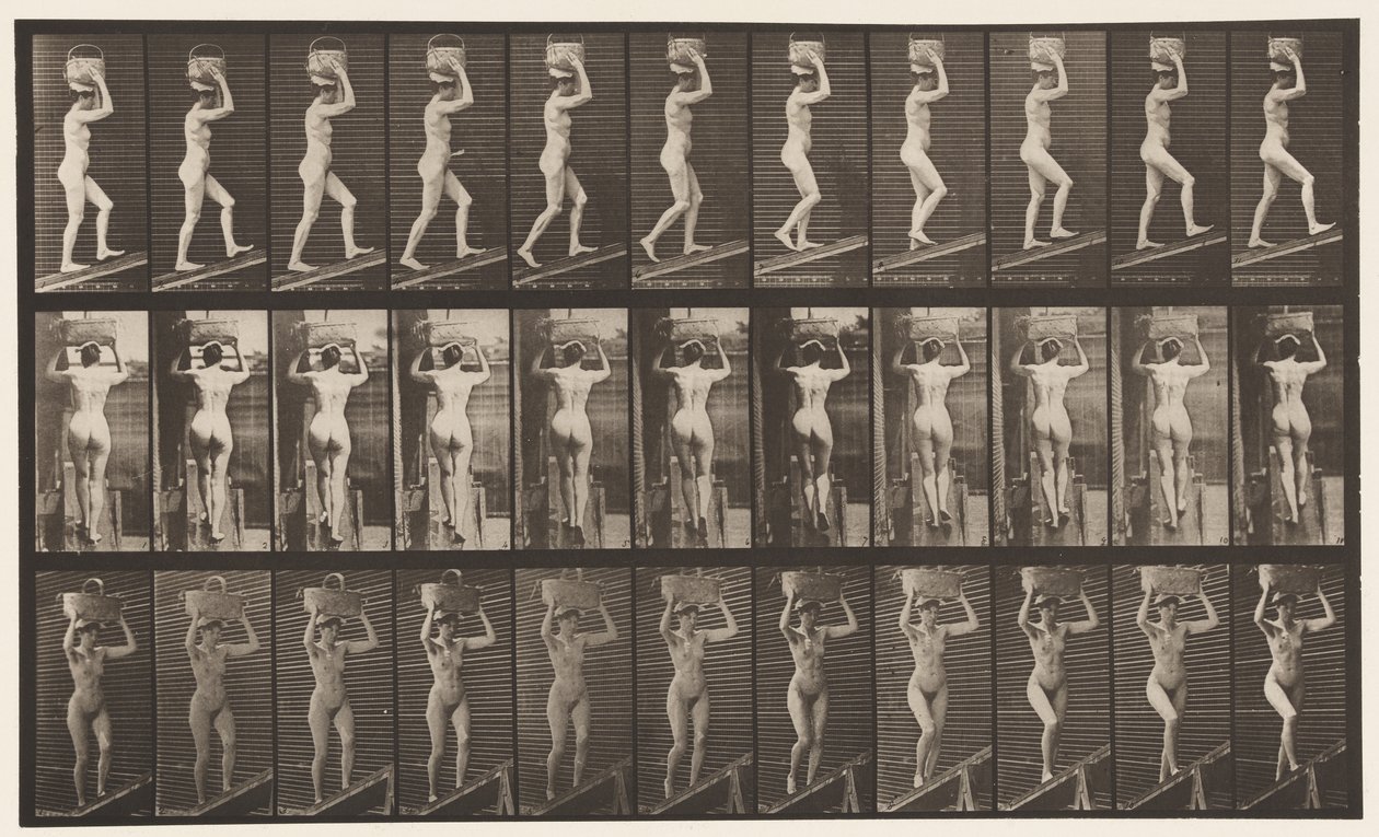 Plate 80. Stigende stigning av Eadweard Muybridge