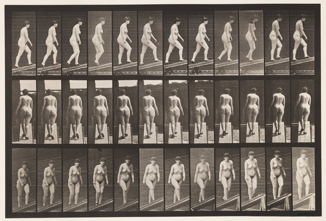 Plate 86. Stigende stigning av Eadweard Muybridge