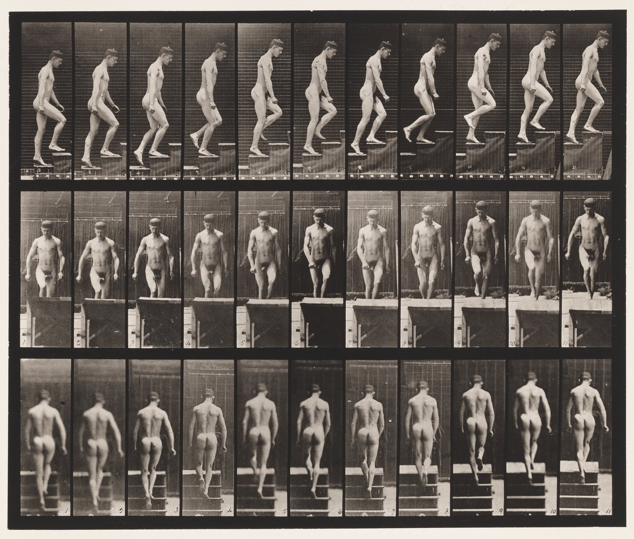 Plate 88. Oppstigende trapper, 1872-1885 av Eadweard Muybridge