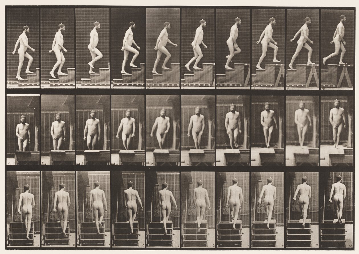 Plate 90. Oppgående trapp av Eadweard Muybridge