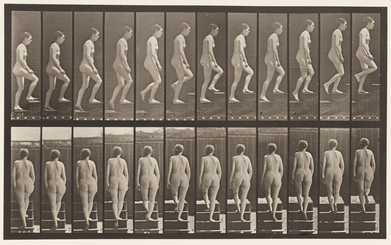 Plate 92. Oppgående trapp av Eadweard Muybridge