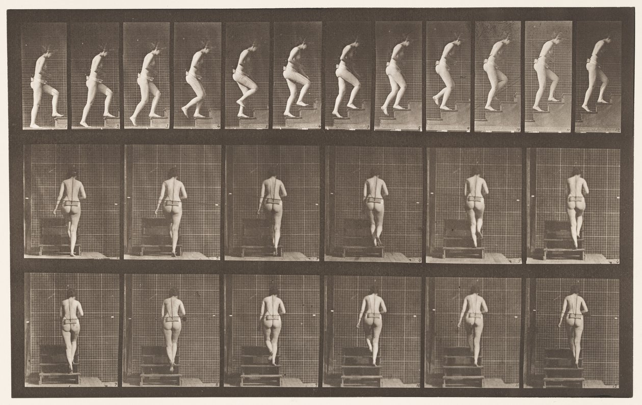 Plate 93. Oppgående trapp av Eadweard Muybridge