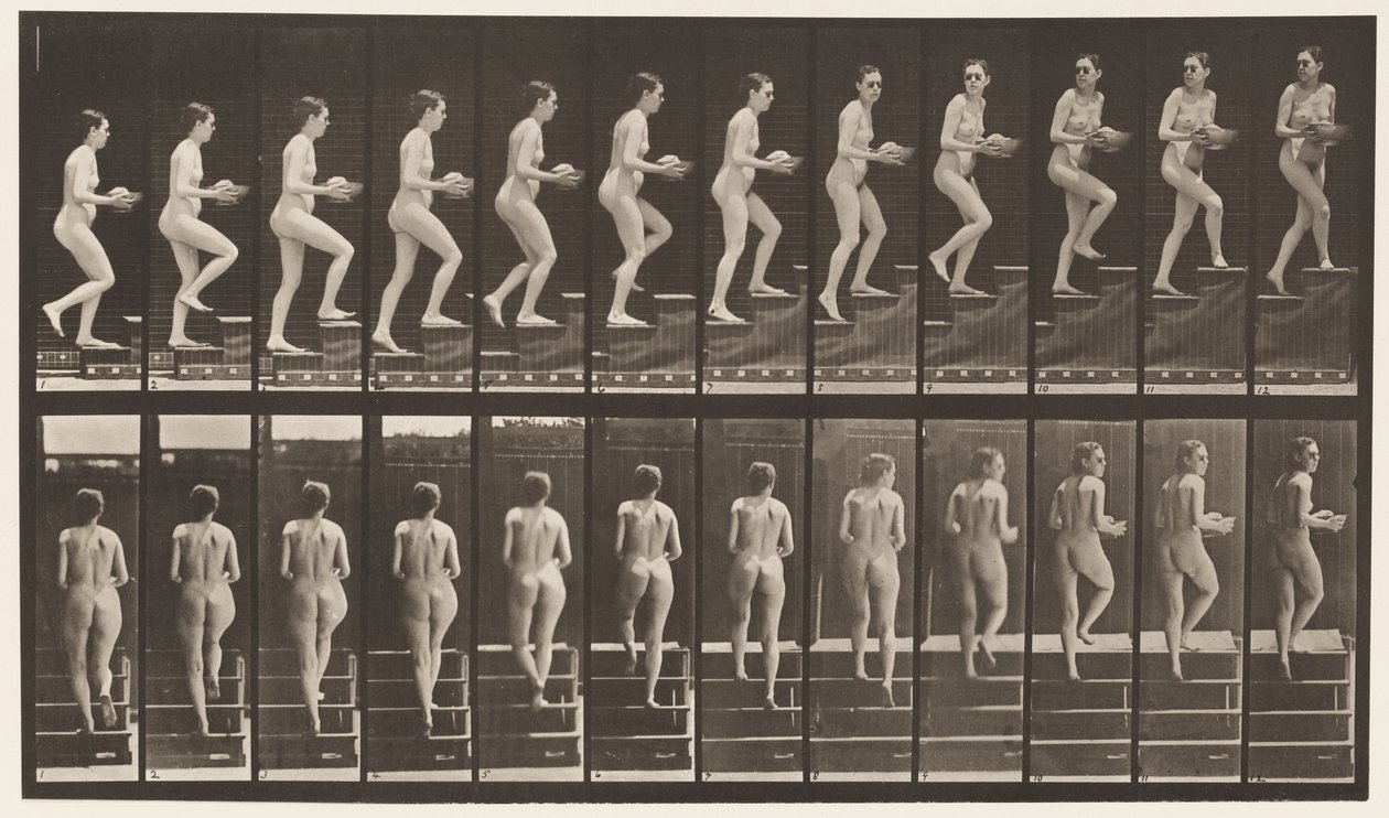 Plate 94. Oppstigende trapp ser seg rundt; Basseng i hender av Eadweard Muybridge