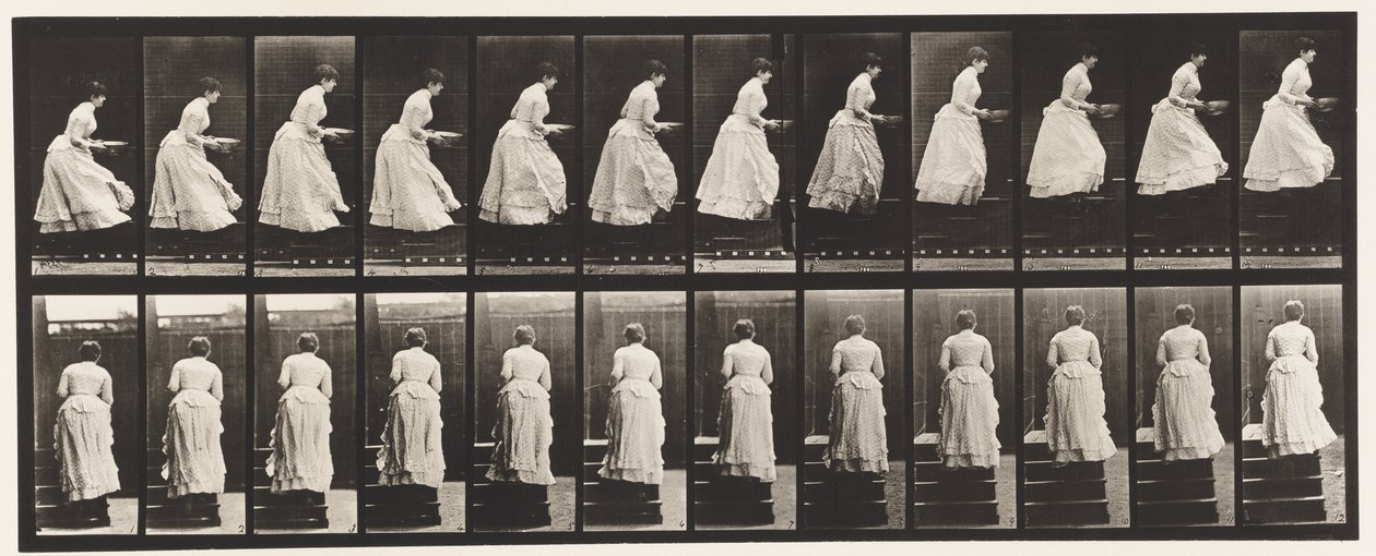 Plate 95. Ascending Stairs, A Basin in Hands, 1885 av Eadweard Muybridge