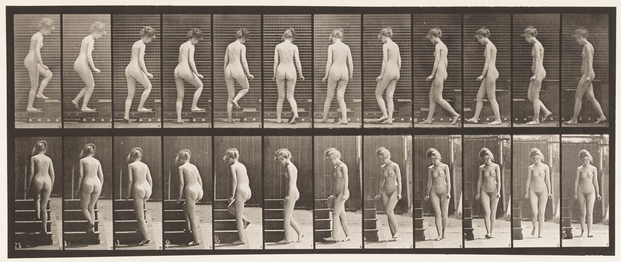 Plate 98. Svingende og oppgående trapper, 1872-1885 av Eadweard Muybridge