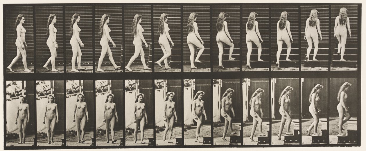 Plate 99. Svingende og oppgående trapper av Eadweard Muybridge