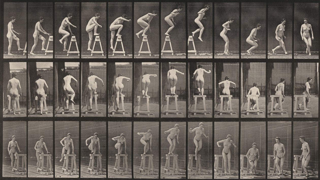 Tavle nummer 171. Stige opp på en bukk, hoppe ned og snu seg av Eadweard Muybridge