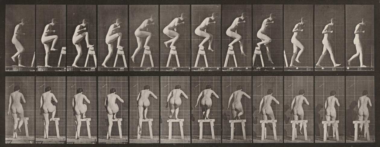 Tavle nummer 178. Å trå på og over en bukk av Eadweard Muybridge
