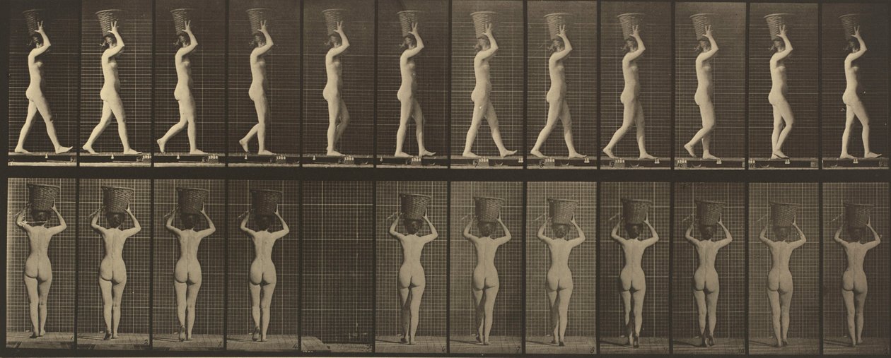 Tavle nummer 34. Gående og bærende en kurv på 15 lb på hodet, hendene løftet av Eadweard Muybridge