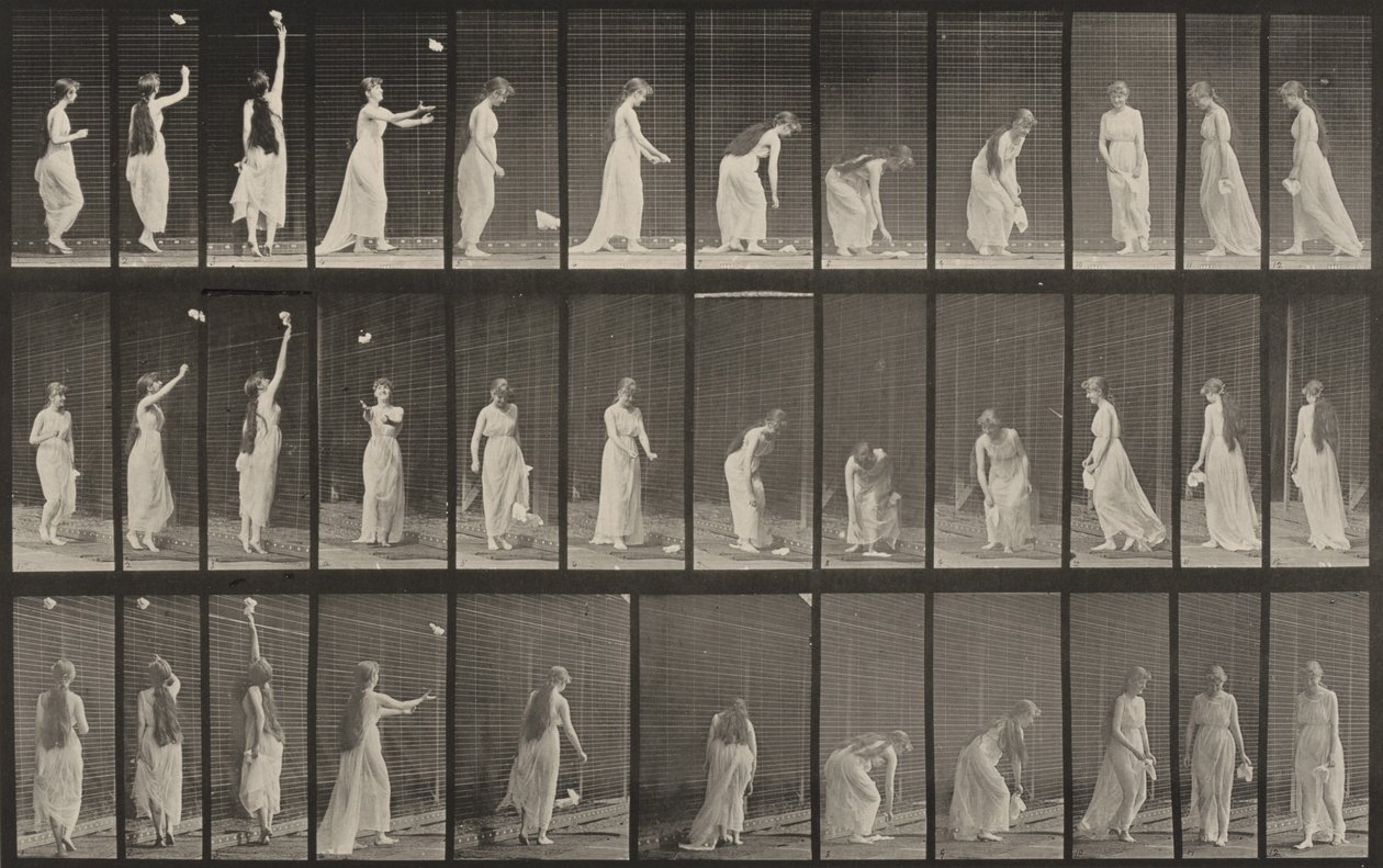 Tavle nummer 463. Strekke seg opp, bøye seg og snu seg rundt av Eadweard Muybridge