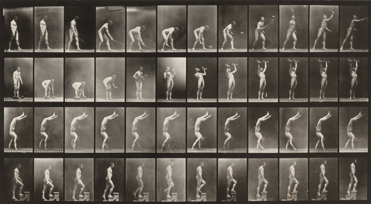 Tavle nummer 488. A: Gresstennis. B: Hantler. C: Gå på hendene. D: Gå opp trapper av Eadweard Muybridge