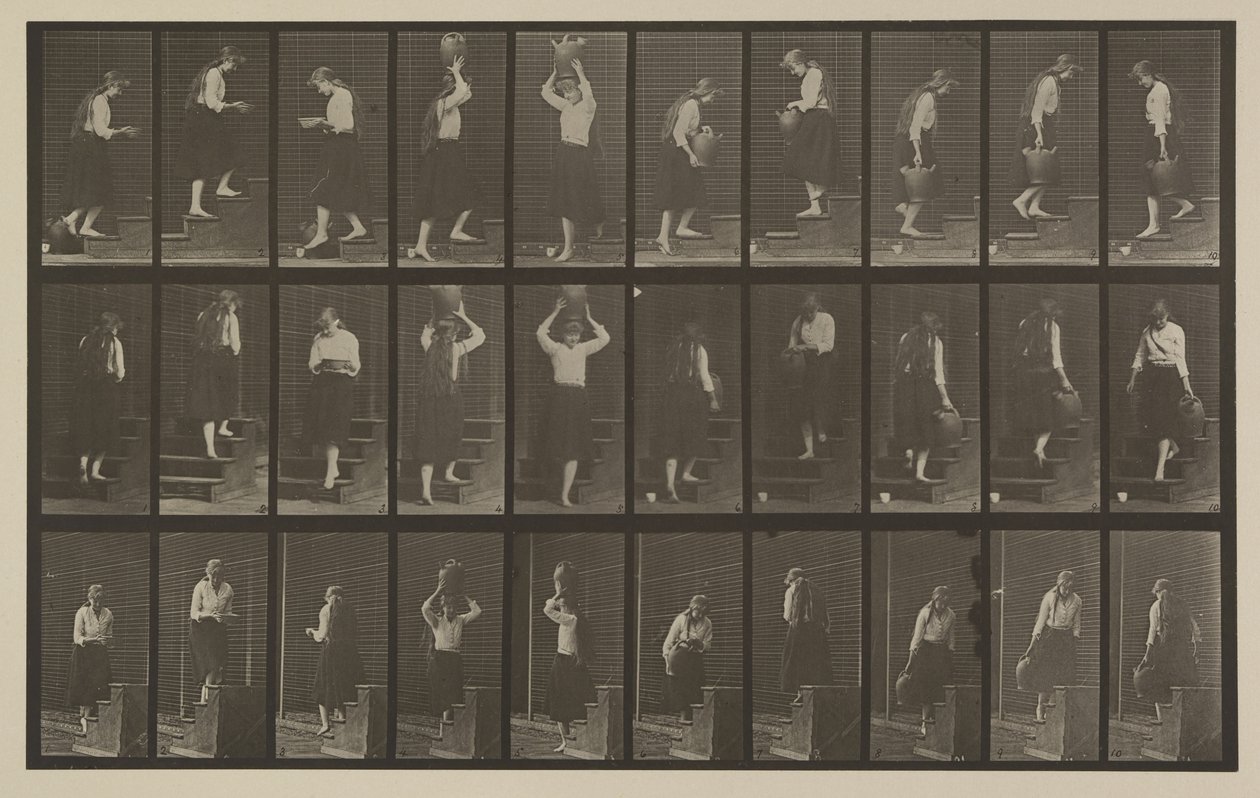 Plate nummer 504. Opp- og nedtrapper av Eadweard Muybridge