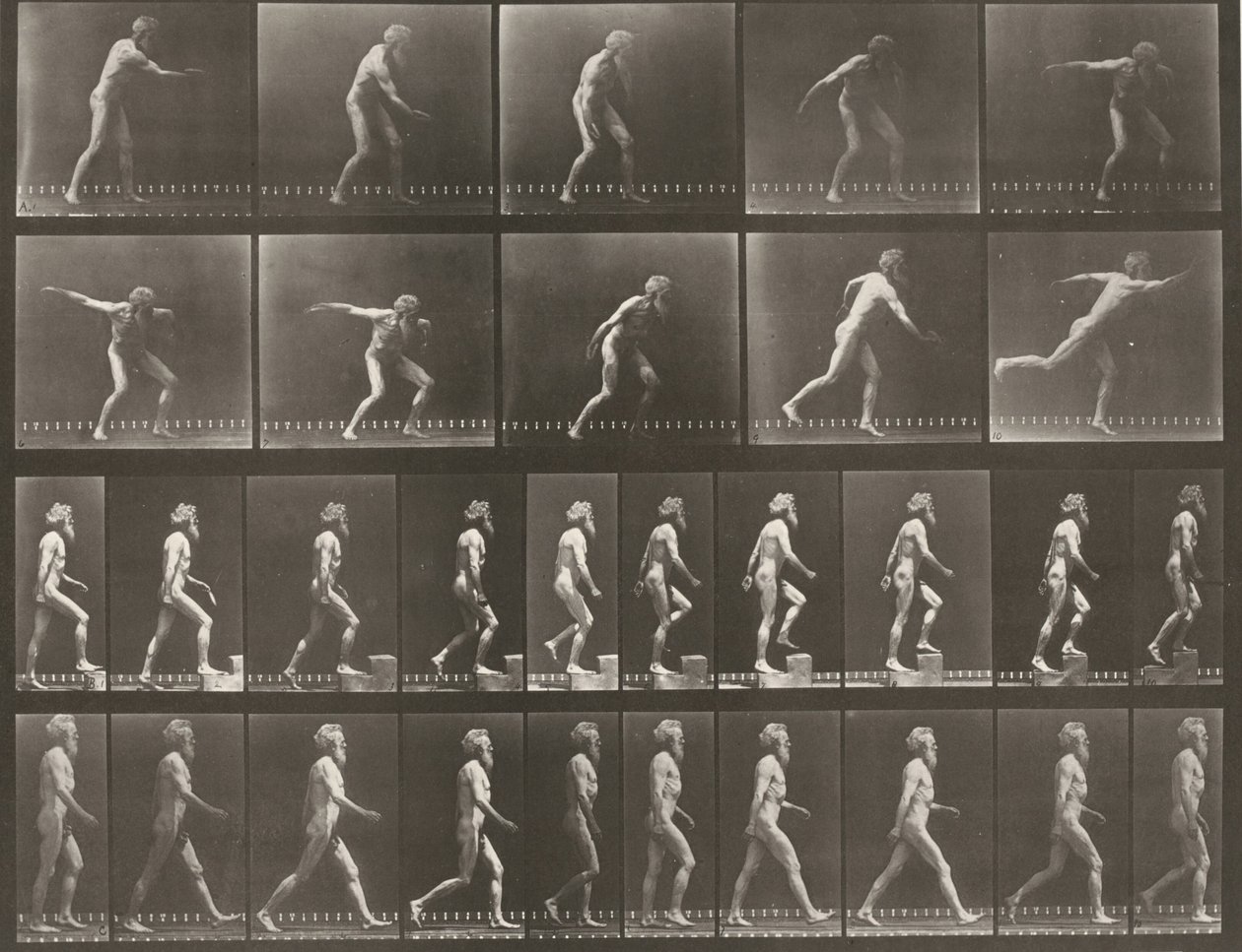 Plate nummer 519. A: Kaste diskos. B: Gå opp et trinn. C: Gå av Eadweard Muybridge