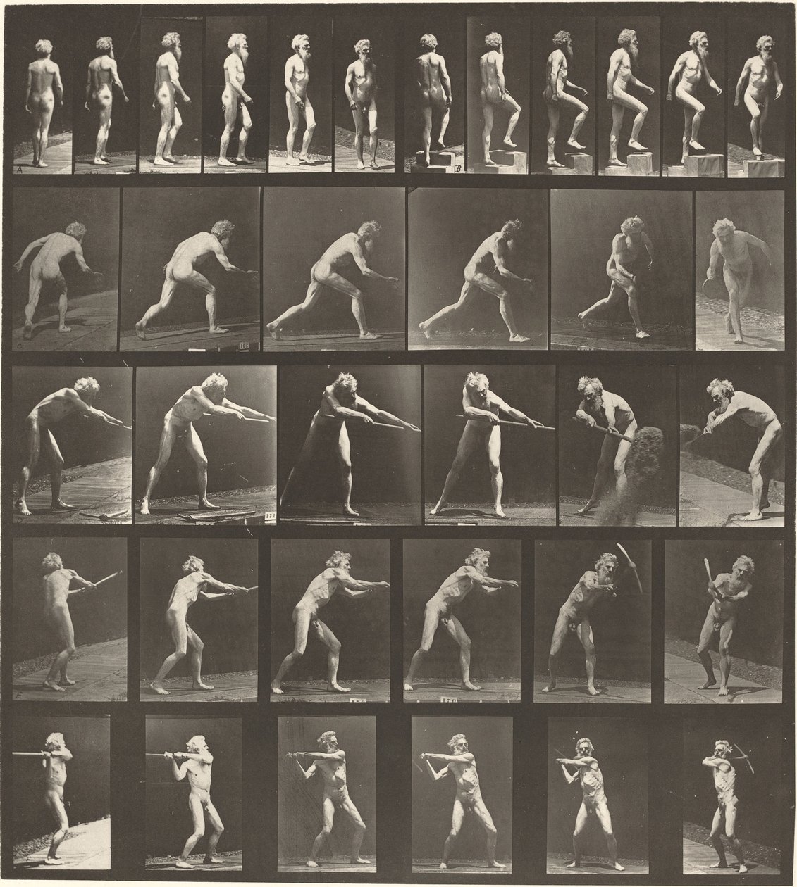 Plate nummer 521. A: Gående. B: Stigende trinn. C. Kasteskive. D: Bruker spade. E, F. Ved hjelp av pick av Eadweard Muybridge