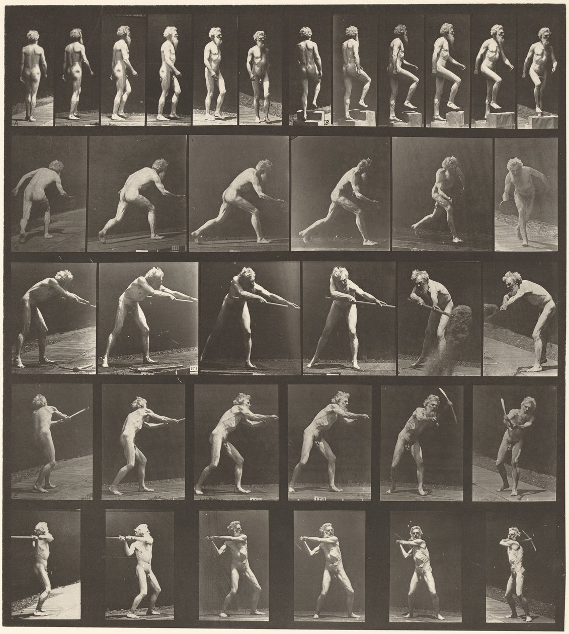  av Eadweard Muybridge