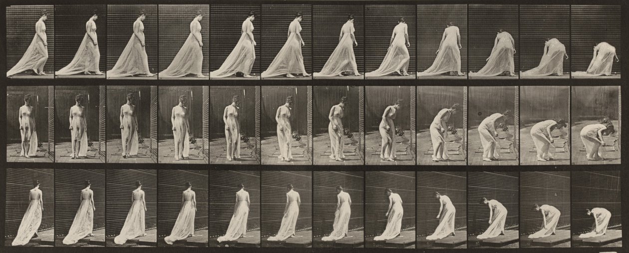 Tavle nummer 56. Gå, snu seg og bøye seg for å løfte slepet av Eadweard Muybridge