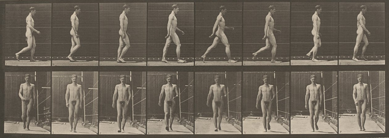  av Eadweard Muybridge