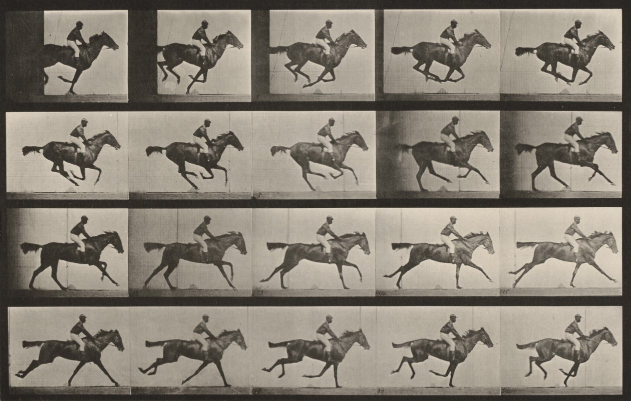 Plate nummer 627. «Annie G.» i galopp av Eadweard Muybridge