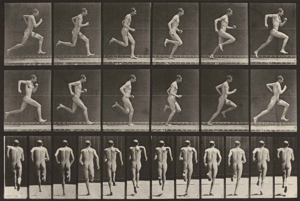 Tavle nummer 62. Løp i full fart av Eadweard Muybridge