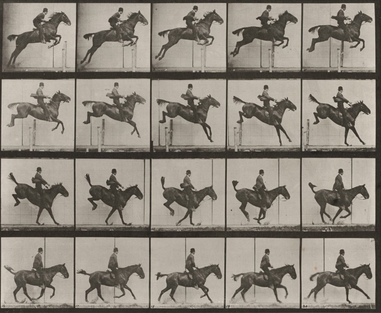 Tavle nummer 637. «Daisy» hopper over et hinder, sadlet, under passeringen, landingen og restitusjonen av Eadweard Muybridge