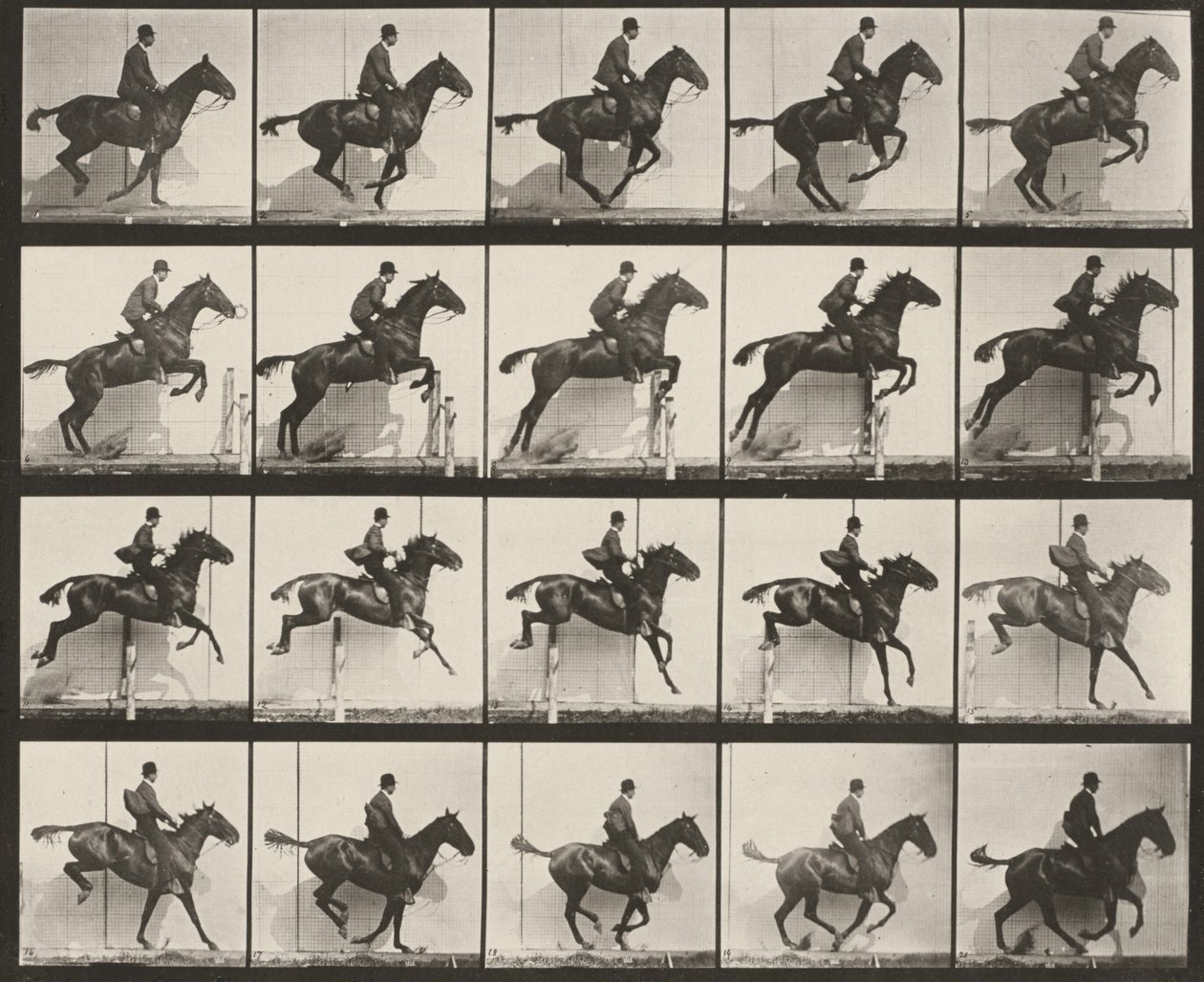 Tavle nummer 640. «Daisy» hopper over et hinder, salet av Eadweard Muybridge
