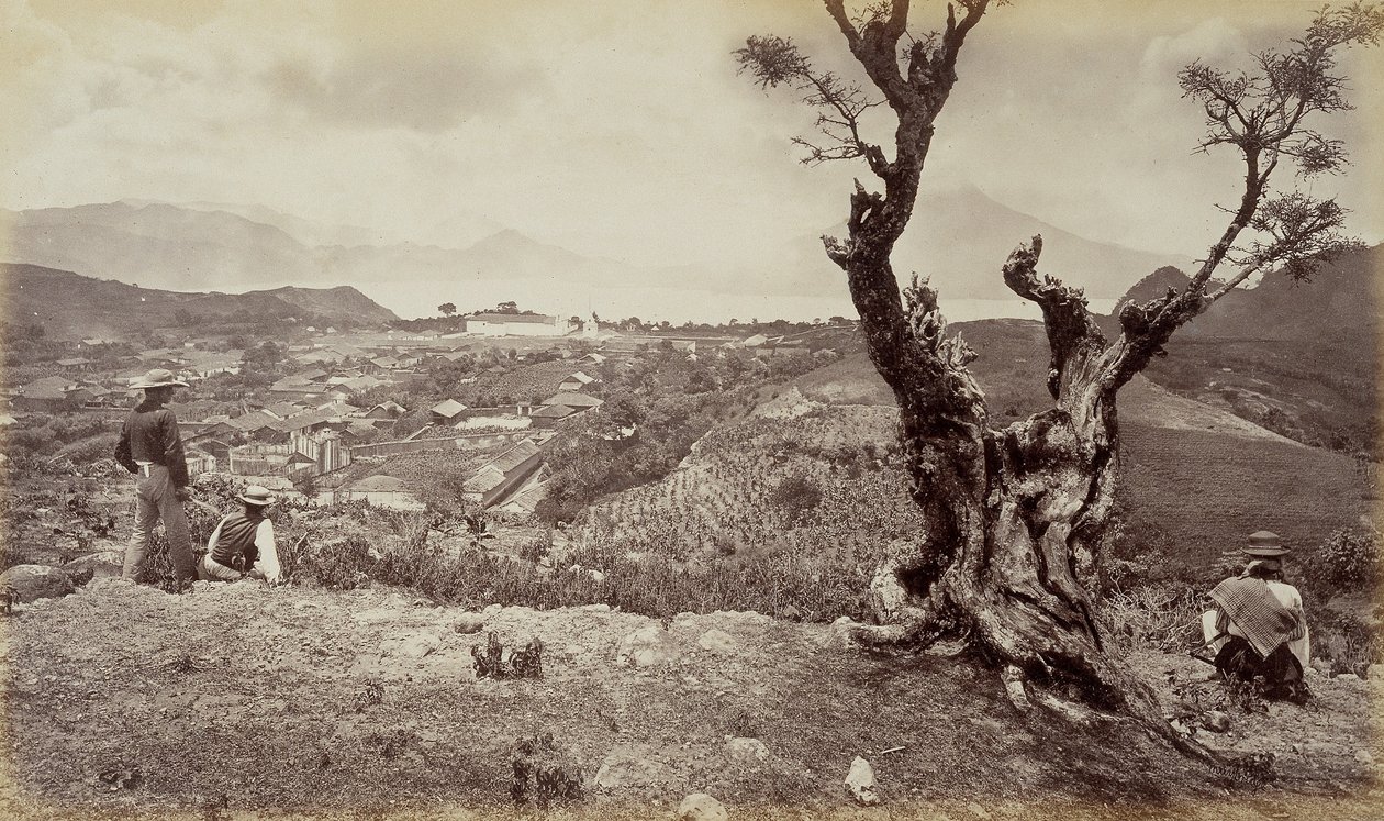  av Eadweard Muybridge