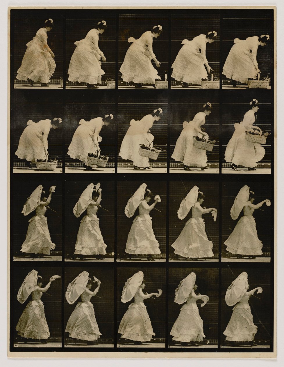  av Eadweard Muybridge