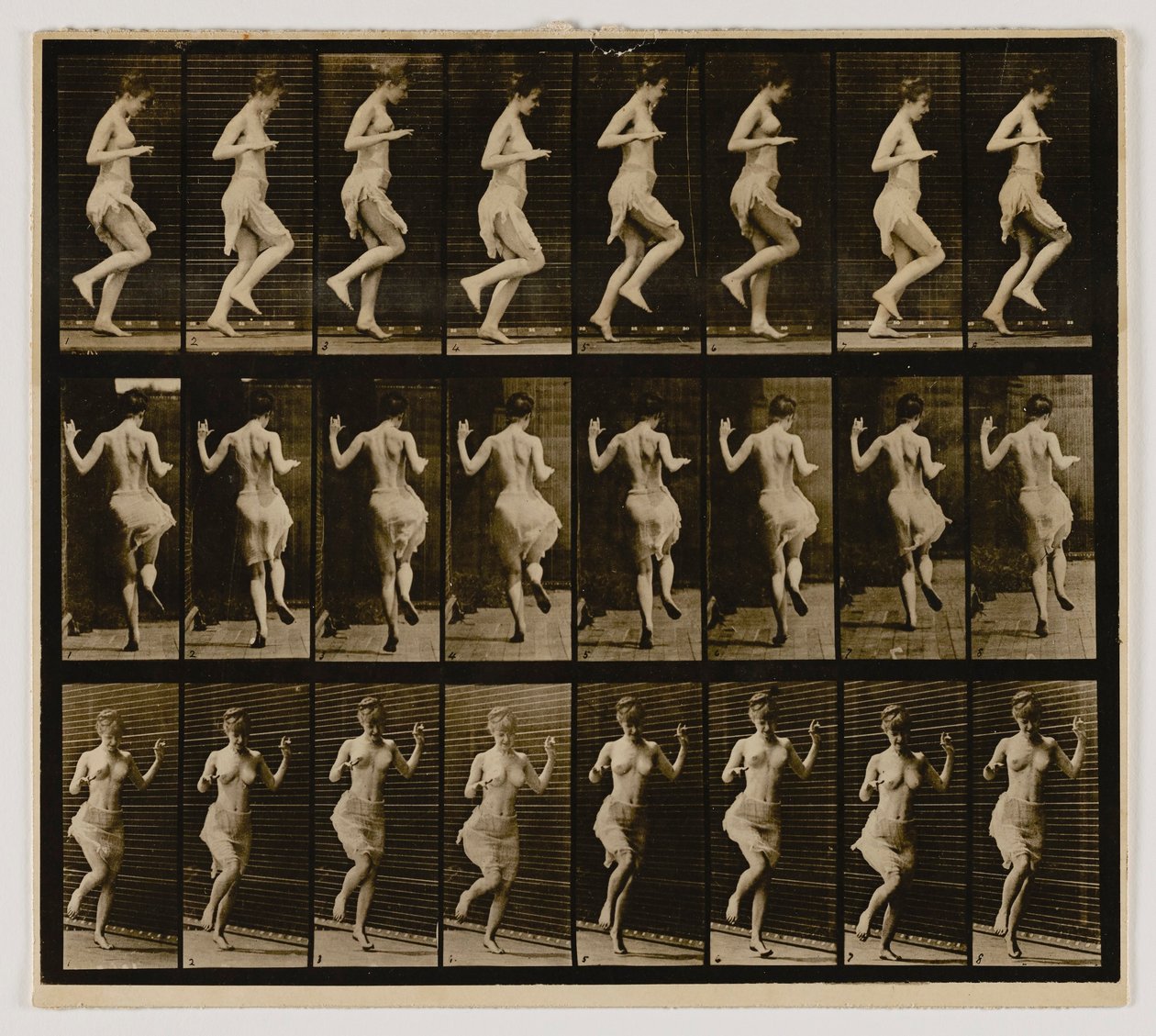  av Eadweard Muybridge