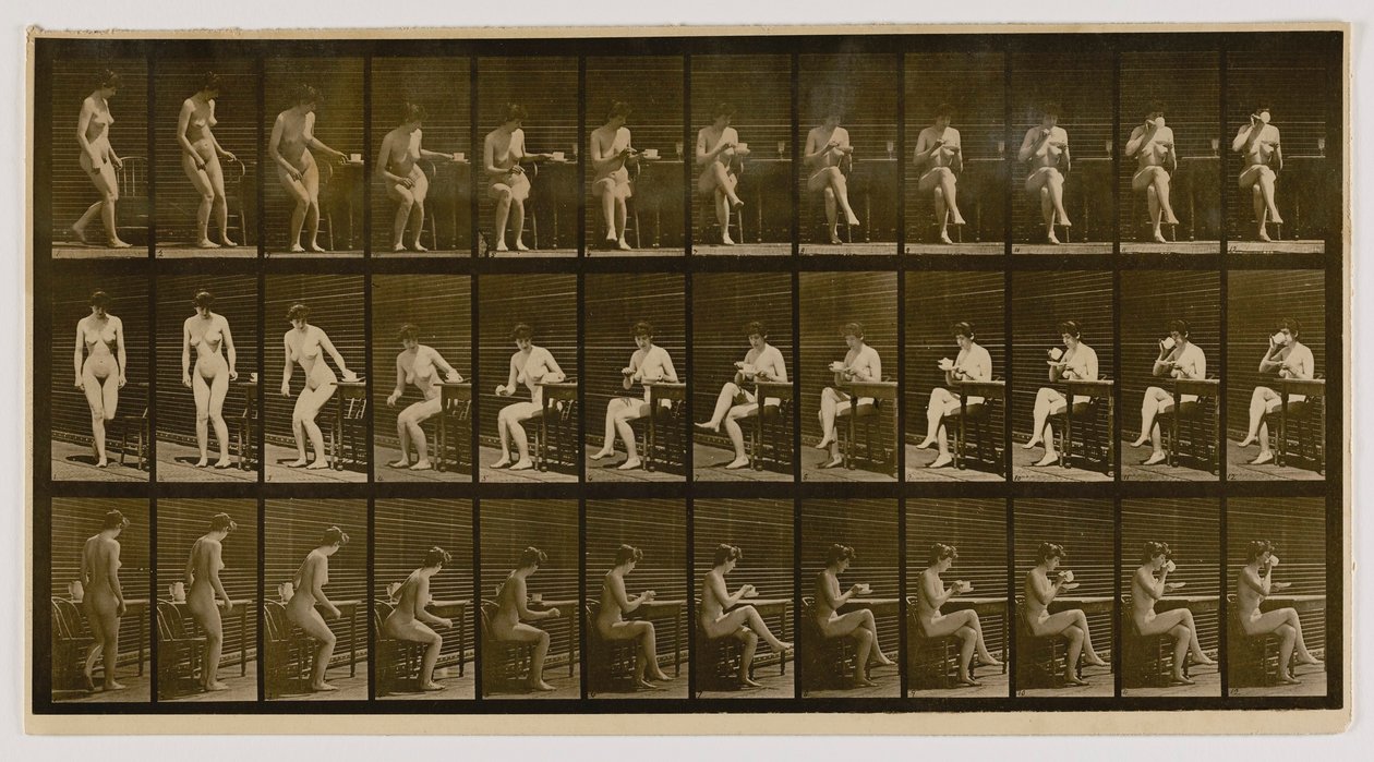  av Eadweard Muybridge