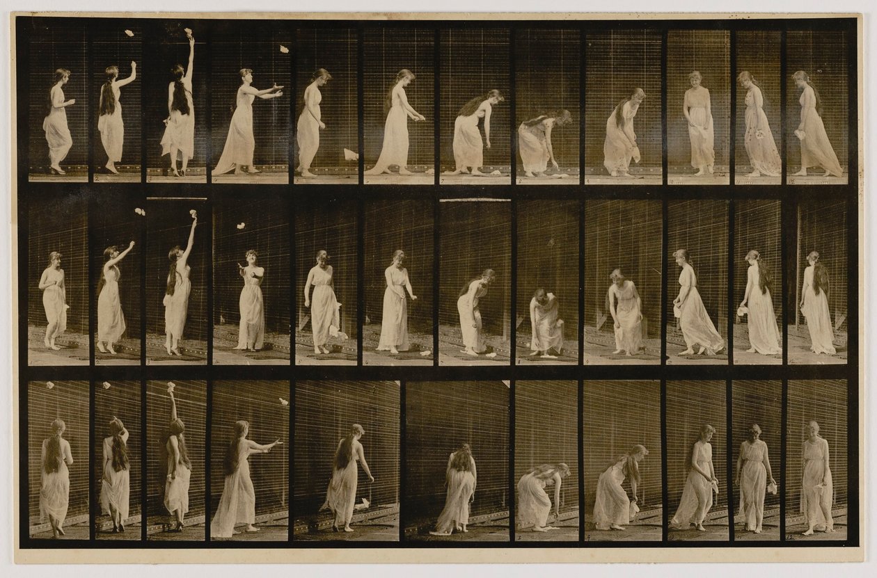  av Eadweard Muybridge