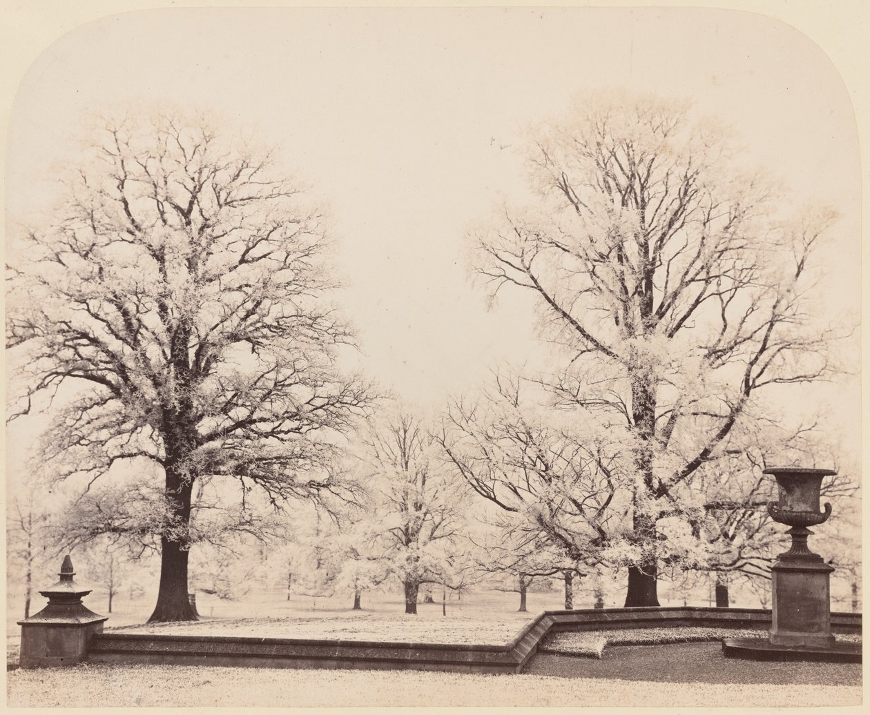 Rimfrost, en parkscene av Earl of Caithness