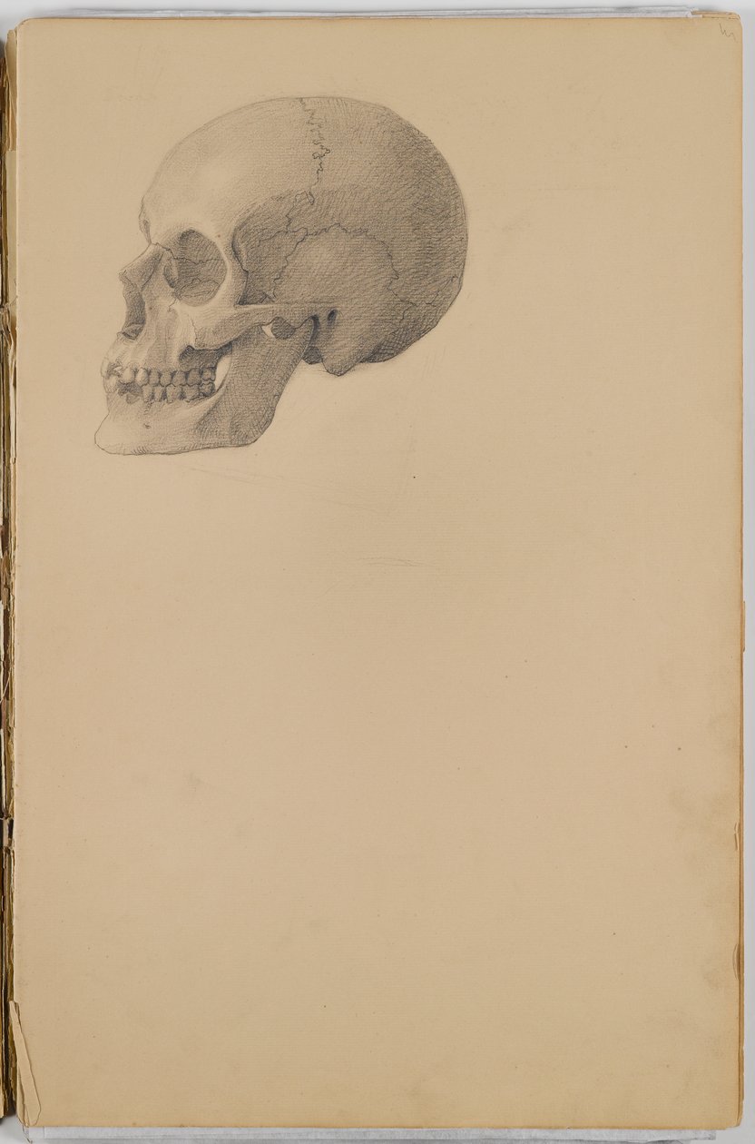 Anatomy Sketch Book, 1849 (skissebok som inneholder tegninger i grafitt) av Eastman Johnson