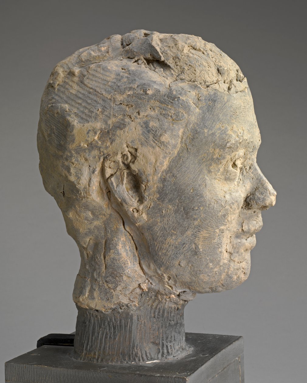 Head, Study for a Portrait of Mme Salle, ca. 1892 (leire, metallarmatur, på trebunn) av Edgar Degas