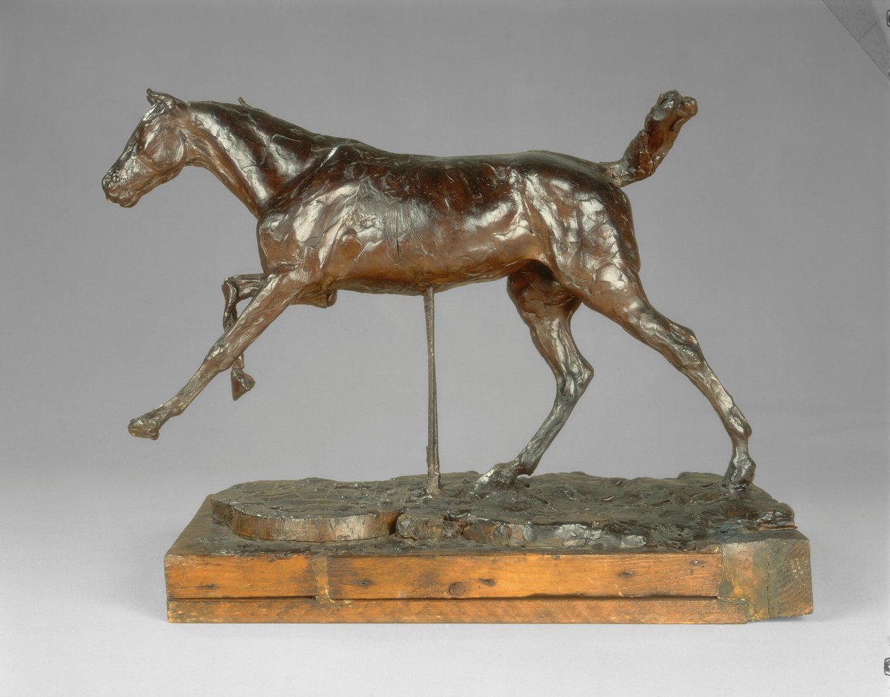 Hest galopperende på høyre fot, slutten av 1880-tallet. av Edgar Degas
