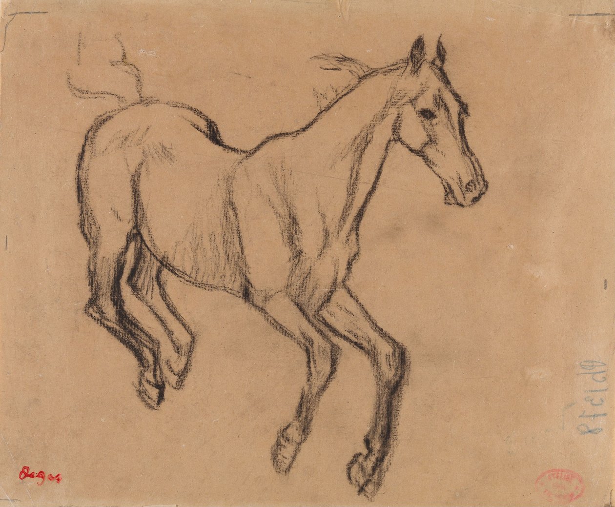 Galopperende hest av Edgar Degas