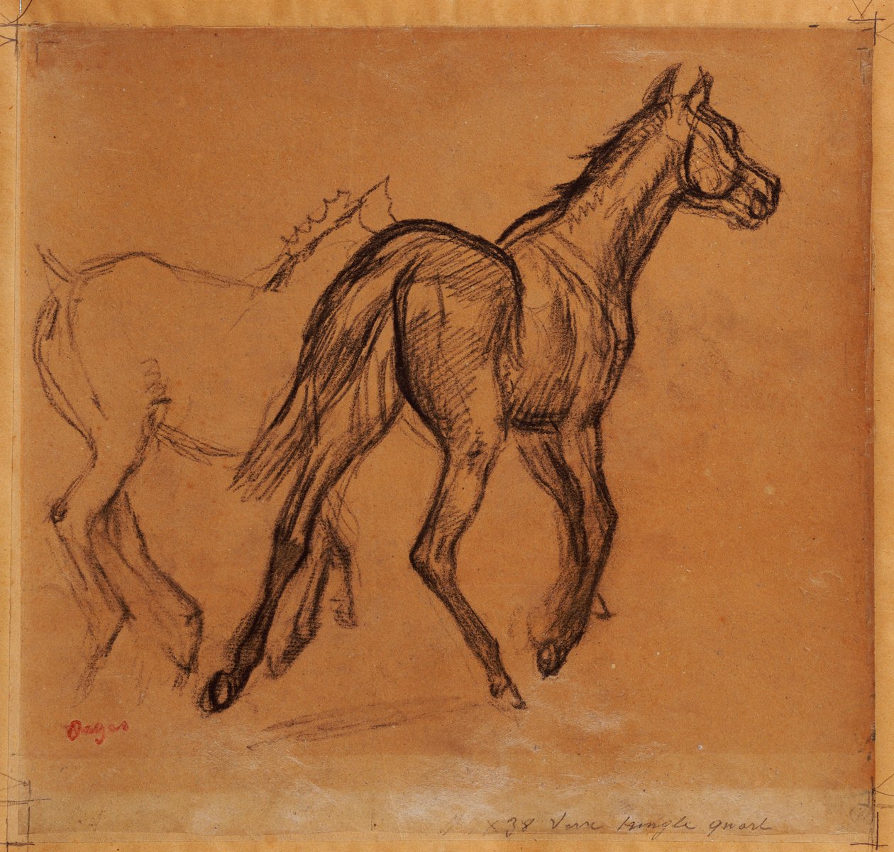 Hester, ca. 1882 av Edgar Degas