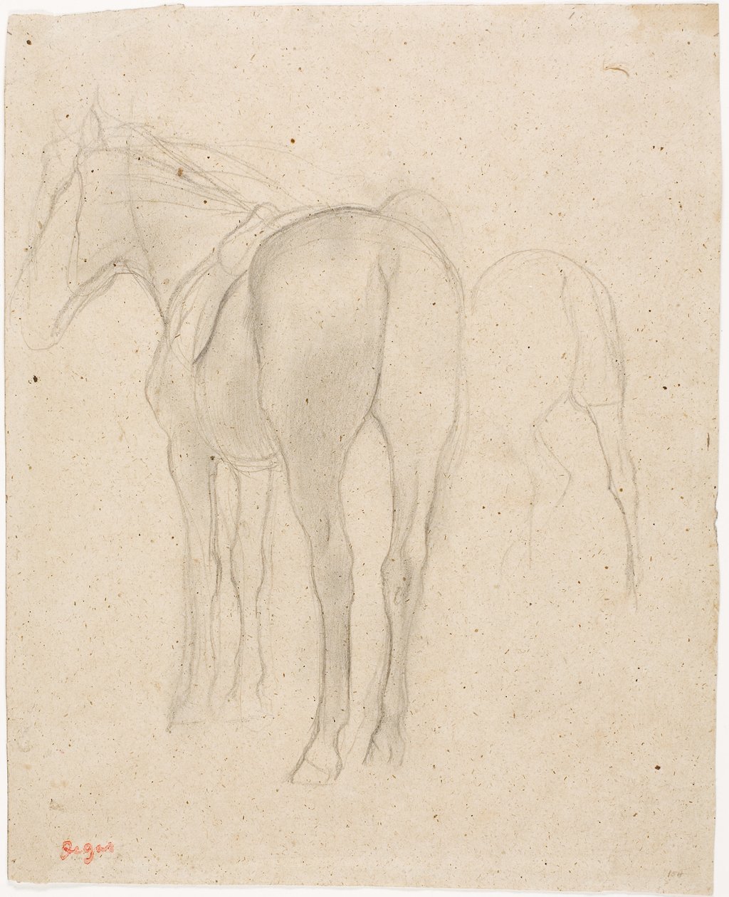 Studier av en hest av Edgar Degas