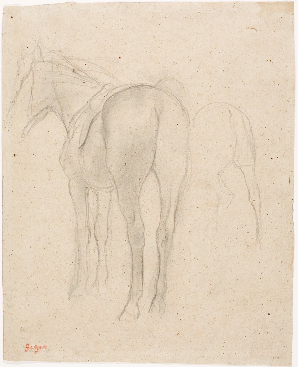 Studier av en hest av Edgar Degas