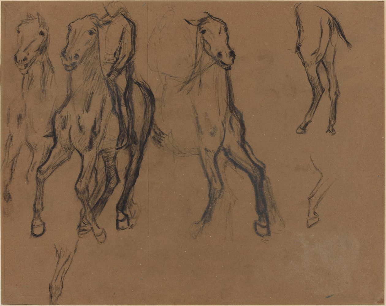 Studie av hester av Edgar Degas