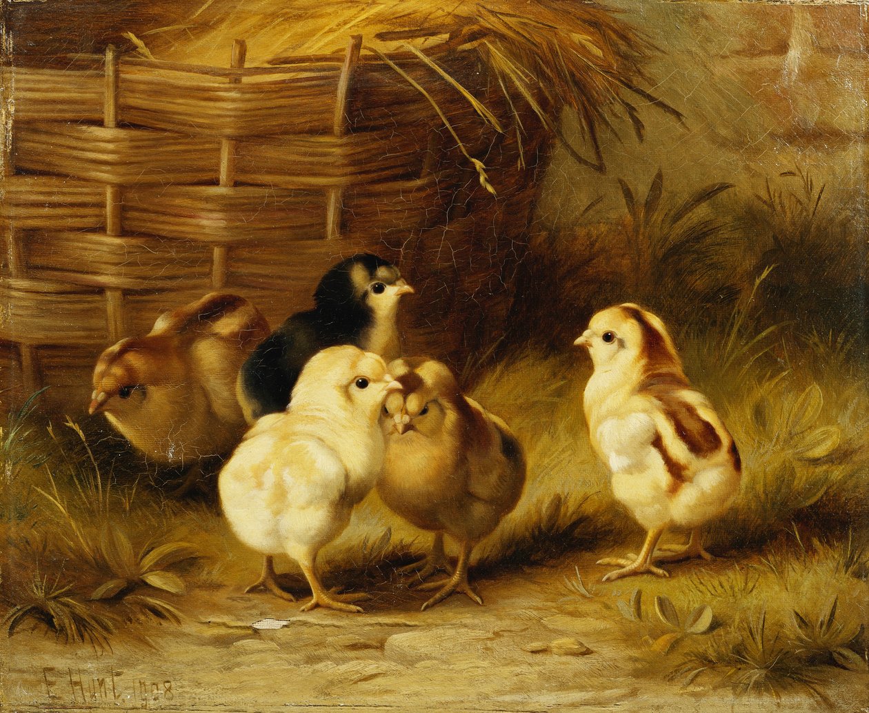  av Edgar Hunt
