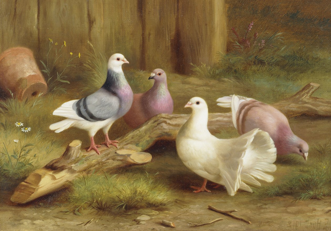  av Edgar Hunt