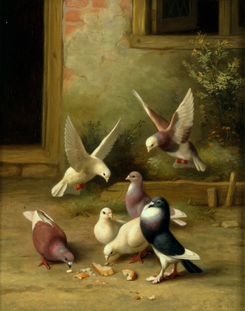  av Edgar Hunt