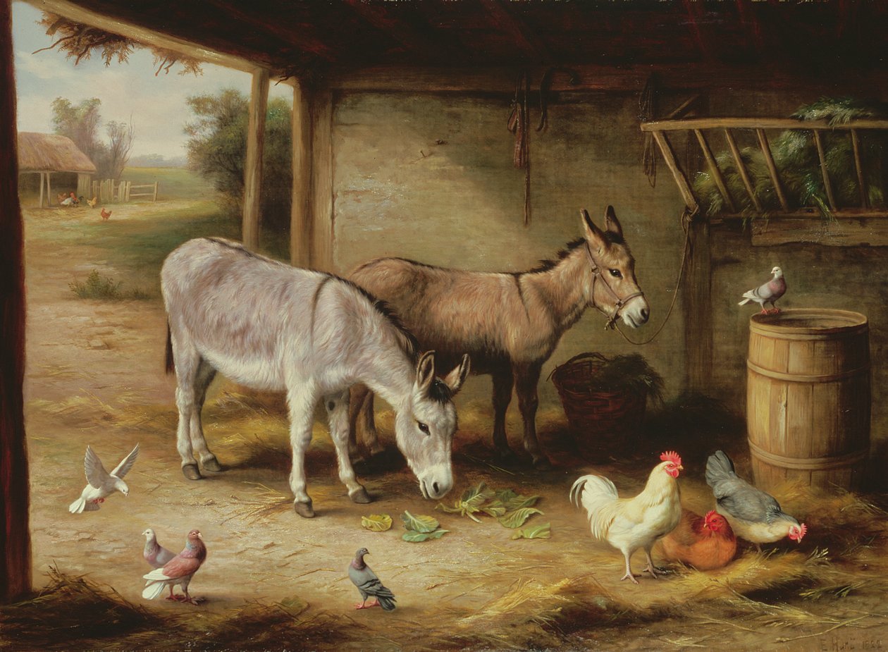  av Edgar Hunt