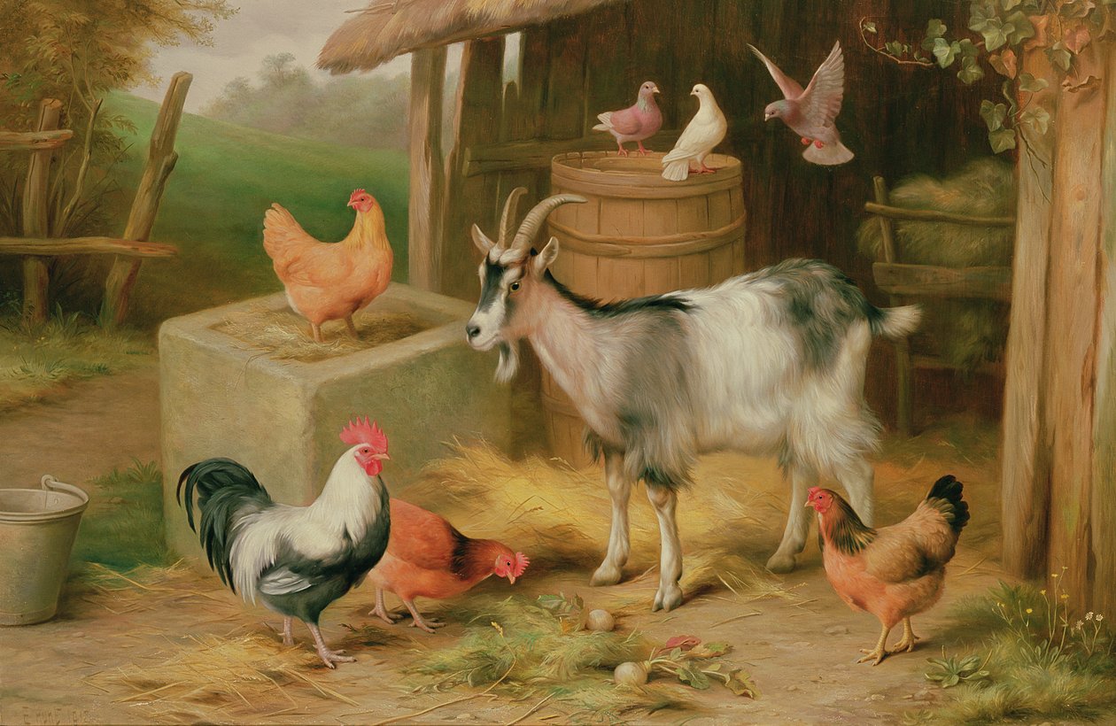  av Edgar Hunt