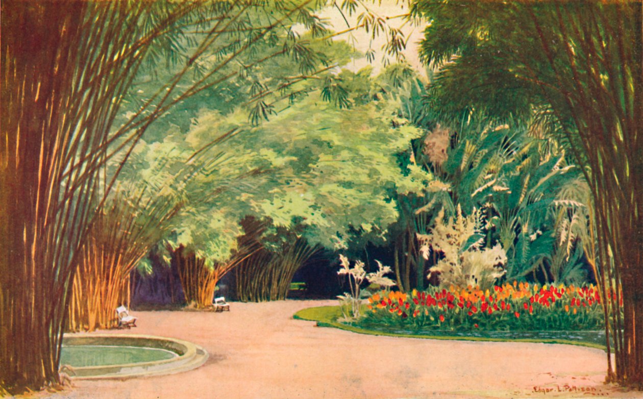 A Bamboo Grove - Botanisk hage, 1914 av Edgar L. Pattison