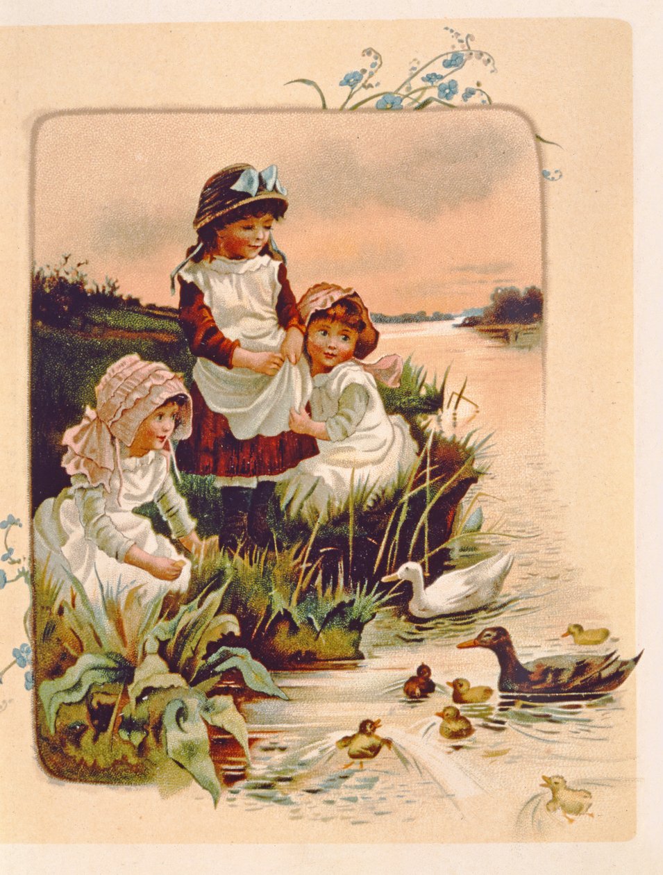 Feeding Ducks, illustrasjon fra `Where Lilies Live