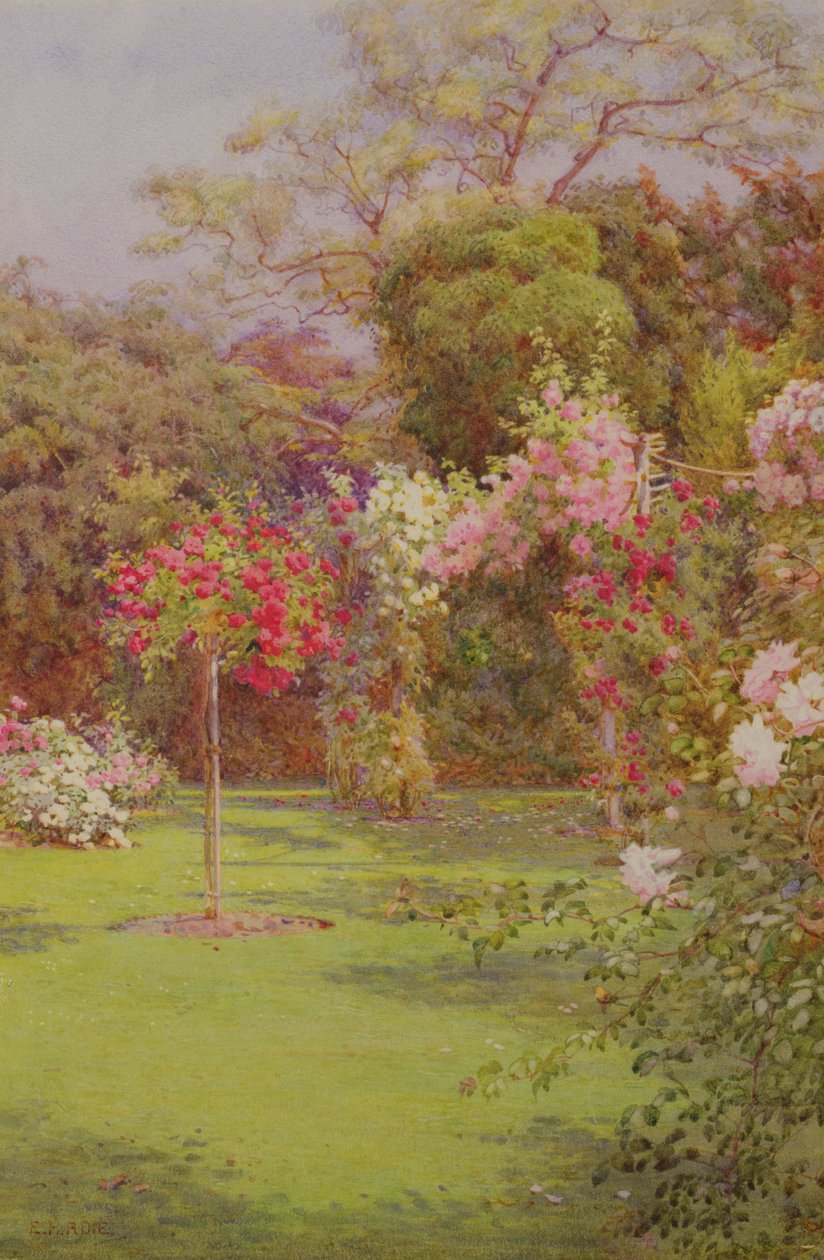 En rosehage (akvarell på papir) av Edith Helena Adie