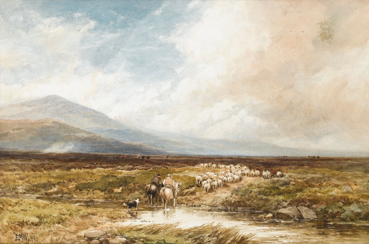 Tavy Cleave, Dartmoor, 1899 (wc på papir) av Edmund Morison Wimperis